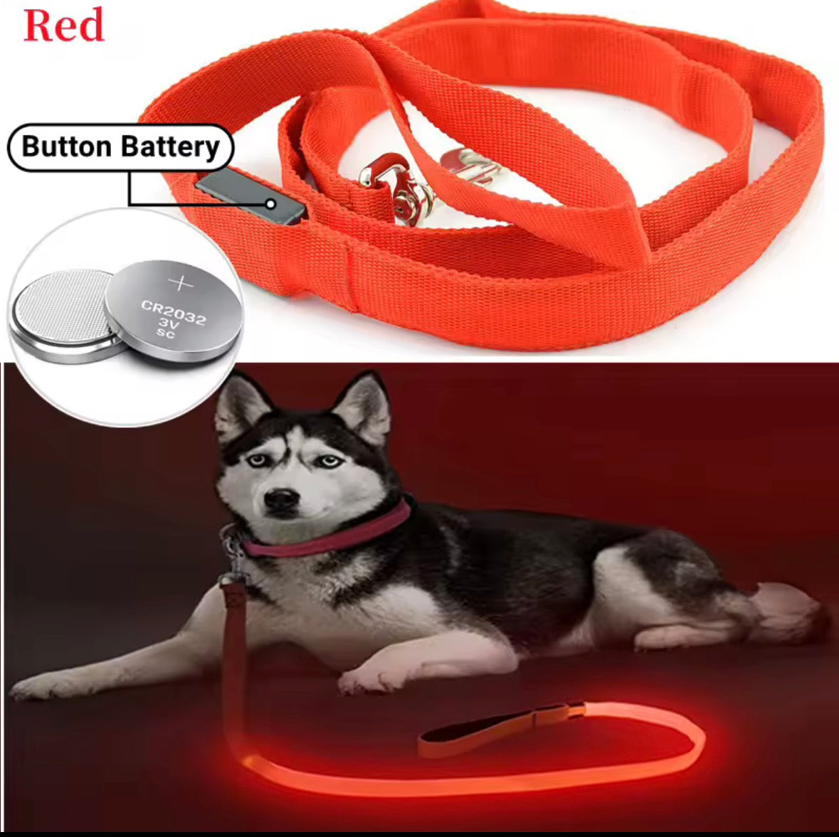 🐕 Glow-in-the-Dark Dog Lead – Brighter, Safer Night Walks 💚