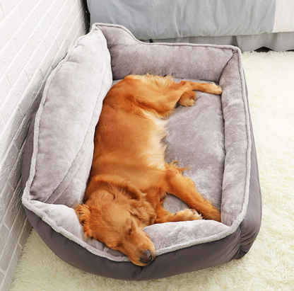 Cuccia per cani: