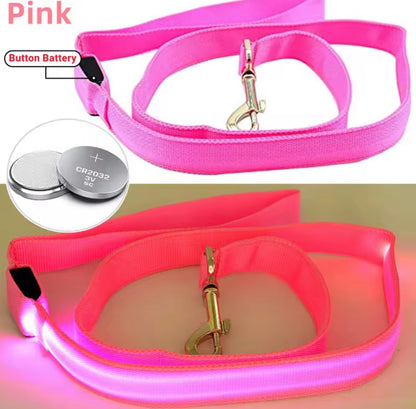 🐕 Glow-in-the-Dark Dog Lead – Brighter, Safer Night Walks 💚