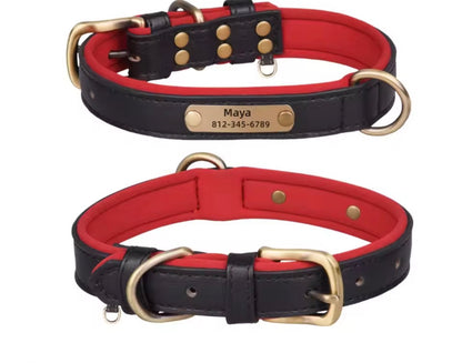 Personalised Dog Collar – Add Your Dog’s Name & Number 🐶❤