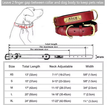 Personalised Dog Collar – Add Your Dog’s Name & Number 🐶❤