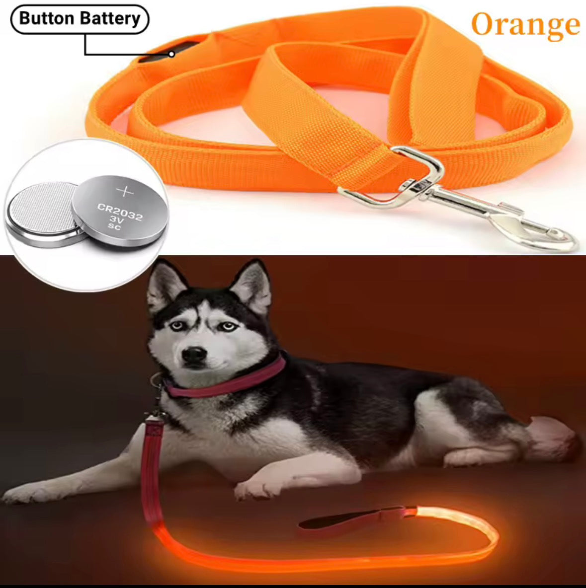 🐕 Glow-in-the-Dark Dog Lead – Brighter, Safer Night Walks 💚