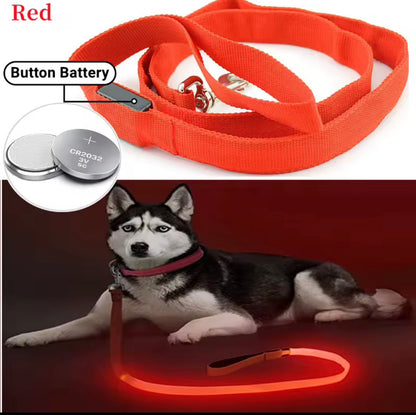 🐕 Glow-in-the-Dark Dog Lead – Brighter, Safer Night Walks 💚