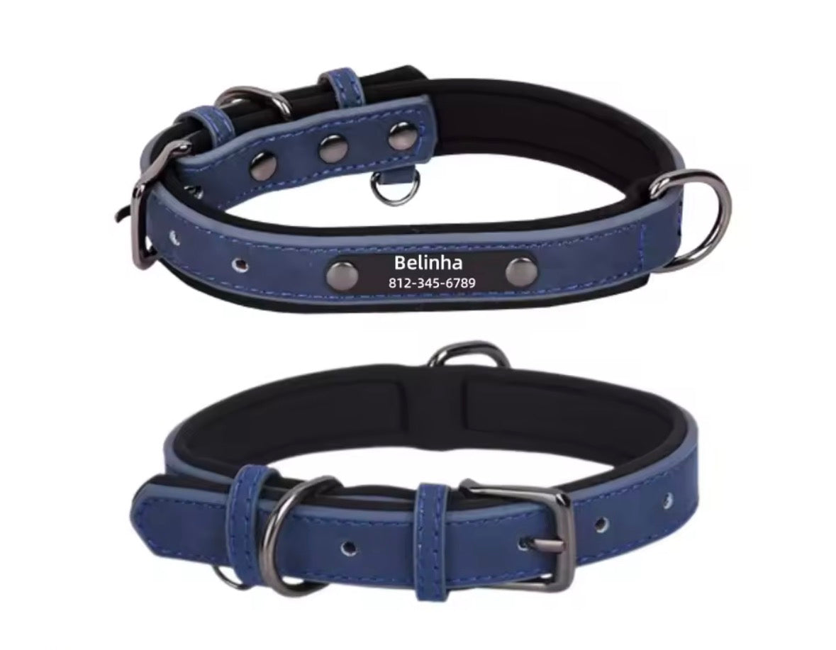 Personalised Dog Collar – Add Your Dog’s Name & Number 🐶❤