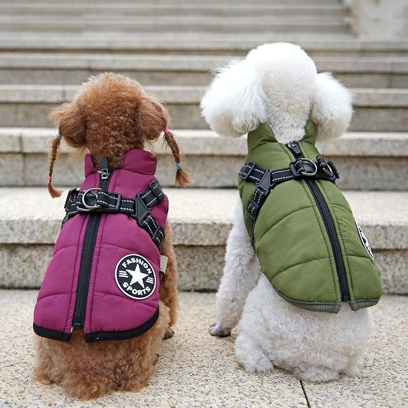 Gilet impermeabile e caldo per cani, abbigliamento invernale con pettorina integrata